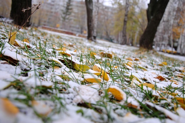 Татарстанда 11 ноябрь кар һәм буран көтелә