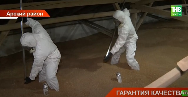 Гарантия качества: в Татарстане начали обеззараживать зерно