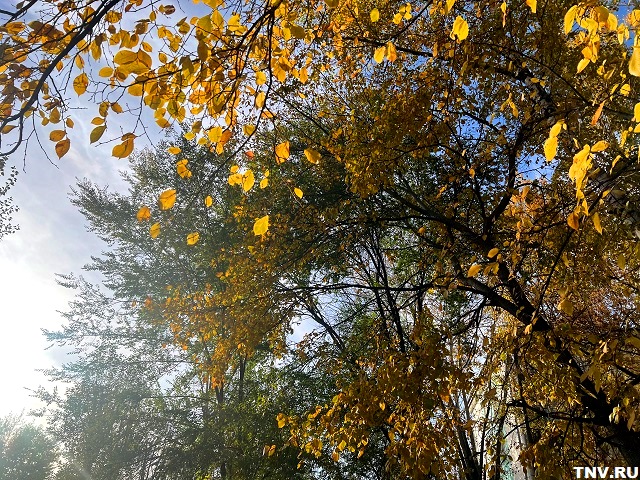 Бу ялларда төнлә һава температурасы -5 градус кадәр төшәчәк