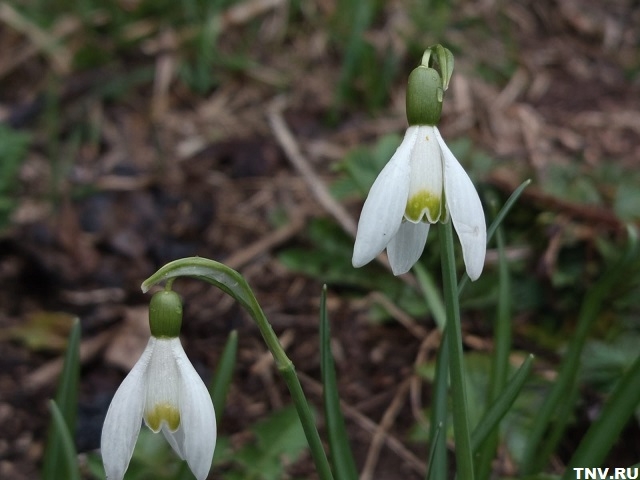 Апрель испытывает на прочность: погода выходных в Татарстане