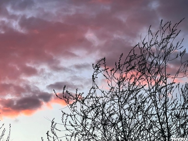 Шторм не утихает: сильный ветер в Татарстане продержится до вечера