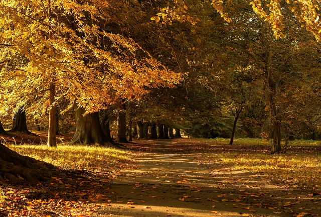 Бабье лето на смену первым морозам придет в Татарстан: погода начала октября