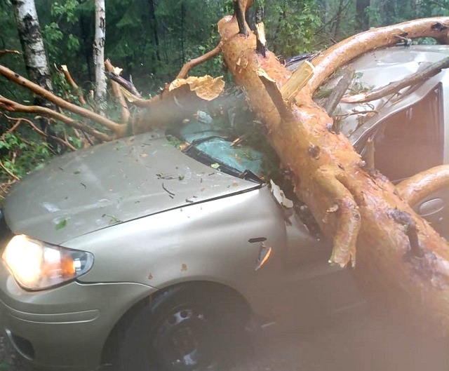 Провалившиеся авто и рухнувшие деревья: татарстанцы подсчитывают ущерб от непогоды