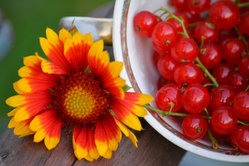 Татарстанда төнлә +7 градуска кадәр салкын булачак