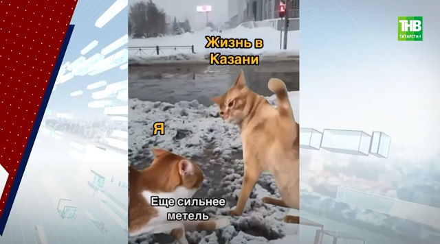 Лавина шуток: мемы о пробках в Казани после мощных снегопадов