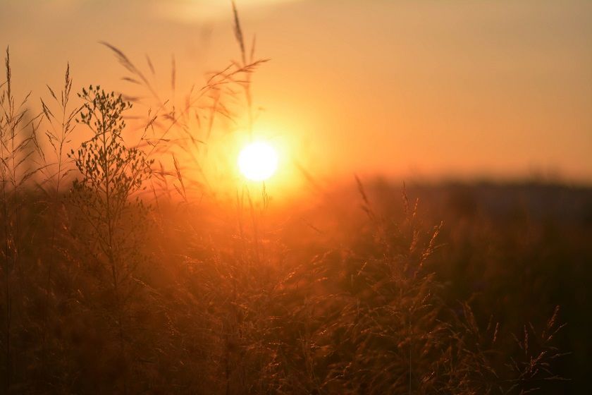 В Татарстане из-за аномальной жары объявили штормовое предупреждение