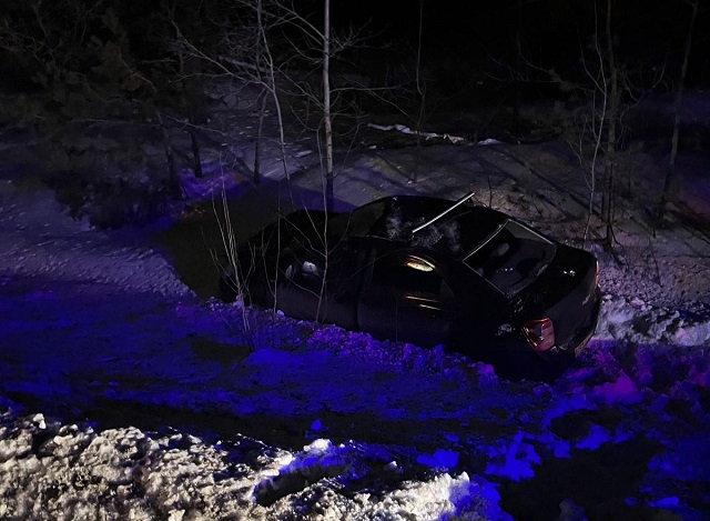 Стали известны подробности ДТП с лосем на трассе в Татарстане