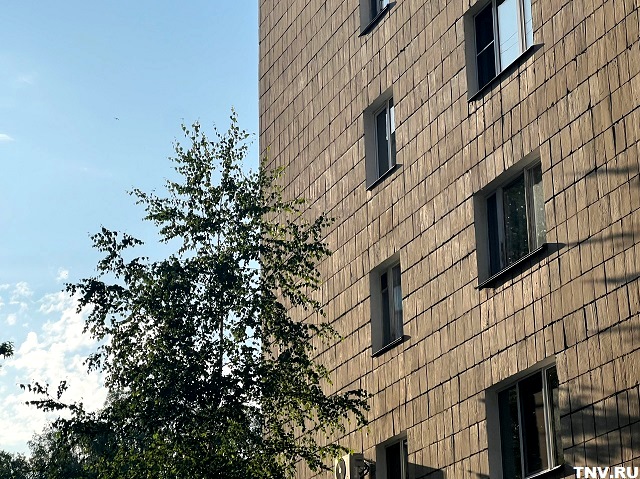 Облокотившаяся на сетку девочка выпала из окна пятого этажа в Татарстане