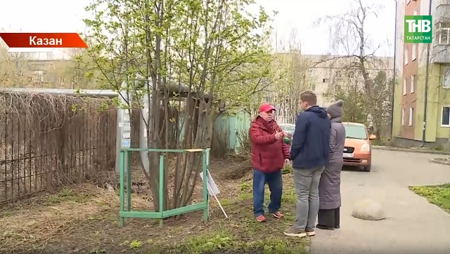 Ветераннар истәлегенә утыртылган миләш аллеясы чүплеккә әйләнгән