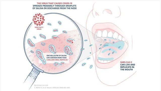 Ополаскиватель рта может защитить от заражения коронавирусом