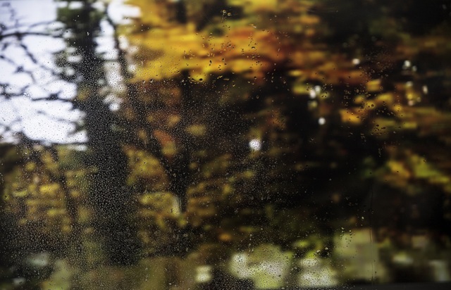 Разгул стихии накроет Татарстан через день: прогноз Гидрометцентра  