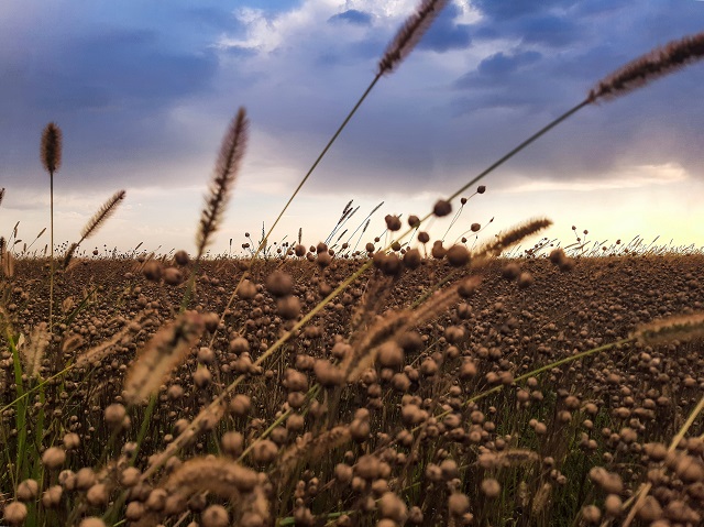 Доцент КФУ Тимур Аухадеев: в начале недели Татарстан окажется в барической ложбине