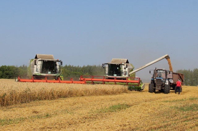 Минниханов: в республике намолочено более 676 000 тонн зерна