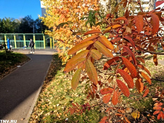 16-градусное тепло и экстремальное атмосферное давление накроют Татарстан