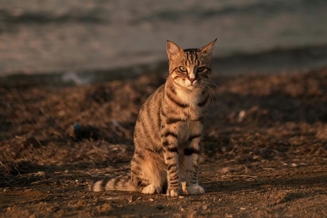 Дождь и до +20 градусов ожидаются в Татарстане в середине недели