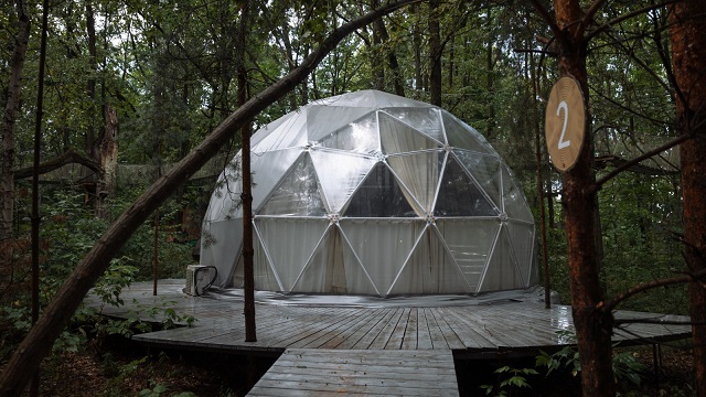 38 проектов из 19 районов Татарстана получат поддержку по нацпроекту 