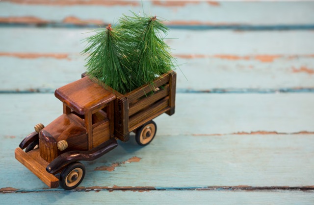 Названы адреса, куда жители Казани могут сдать елки в переработку