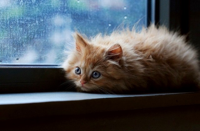 Яллар башында Татарстанда һава температурасы +14 градуска җитәчәк