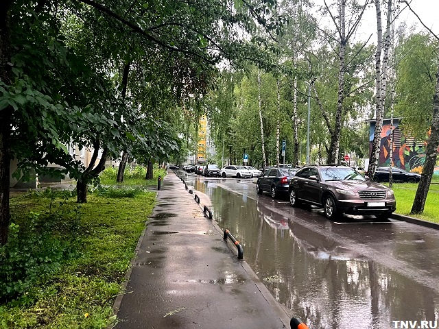 Вильфанд назвал большой плюс обильных осадков, которые накроют центр России