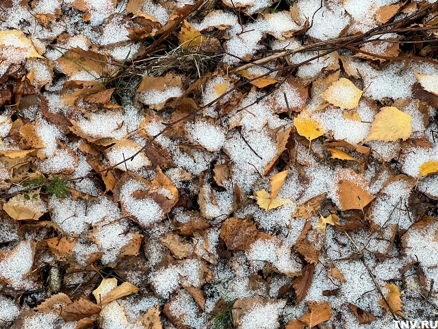 Влияние Северной Атлантики: Переведенцев объяснил аномальное тепло в Татарстане