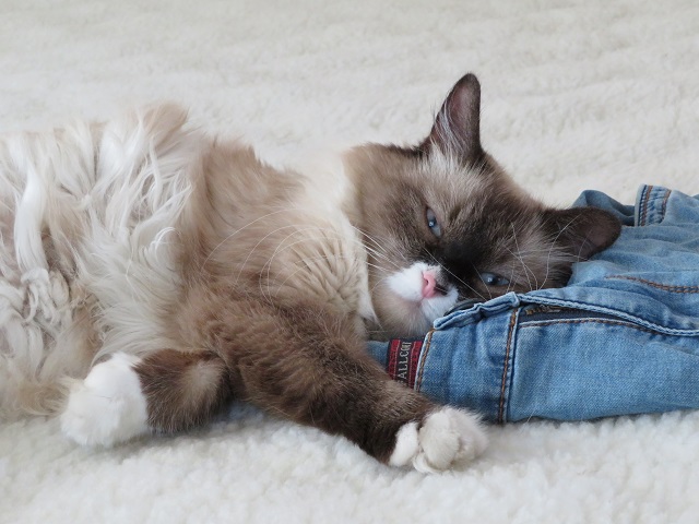 6 сентября в Татарстане ожидаются заморозки