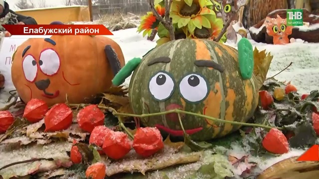 На смену мрачному Хэллоуину: жители села в Татарстане организовали тыквенный фестиваль