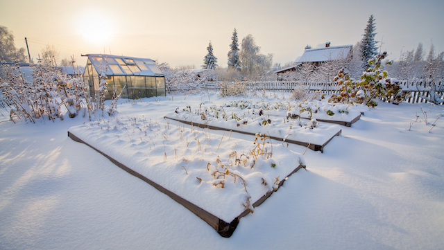 Дачникам Татарстана назвали главные ошибки при подготовке сада к зиме