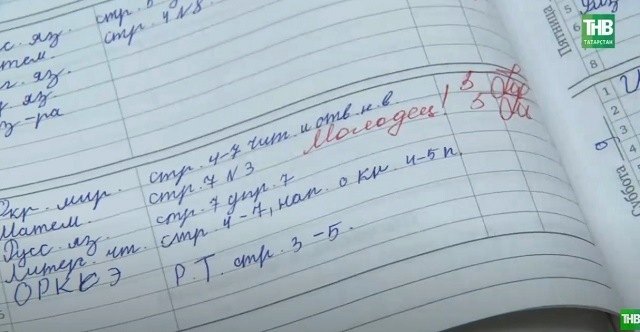 Новый электронный дневник в Татарстане: лучшее решение или головная боль для родителей и учителей?