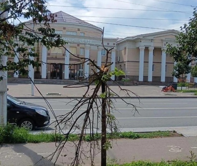 Ураган в Альметьевске: ветер повалил деревья на машины и оборвал ЛЭП