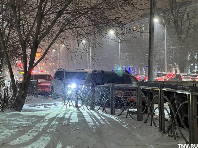 В России сократилась площадь снежного покрова - Вильфанд