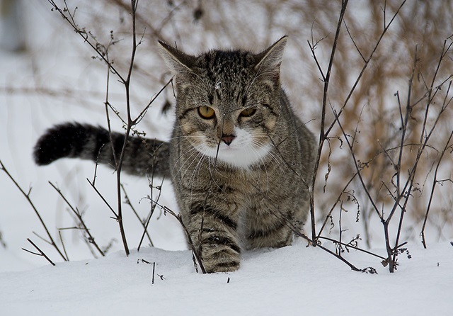 Осадки и похолодание до -5 градусов нагрянут в Татарстан в начале недели