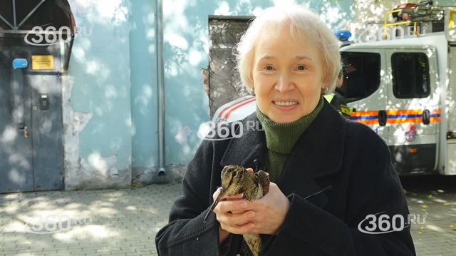 Внезапная встреча россиянки с вальдшнепом закончилась вызовом экстренных служб