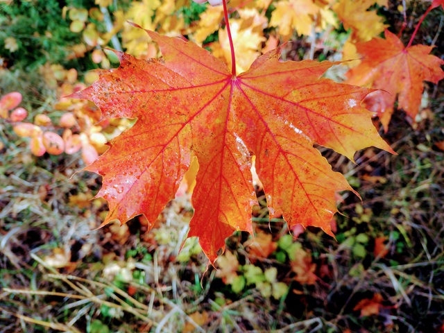 Качели от -5 до +11 градусов: чего ждать от погоды в Татарстане в ближайшие дни