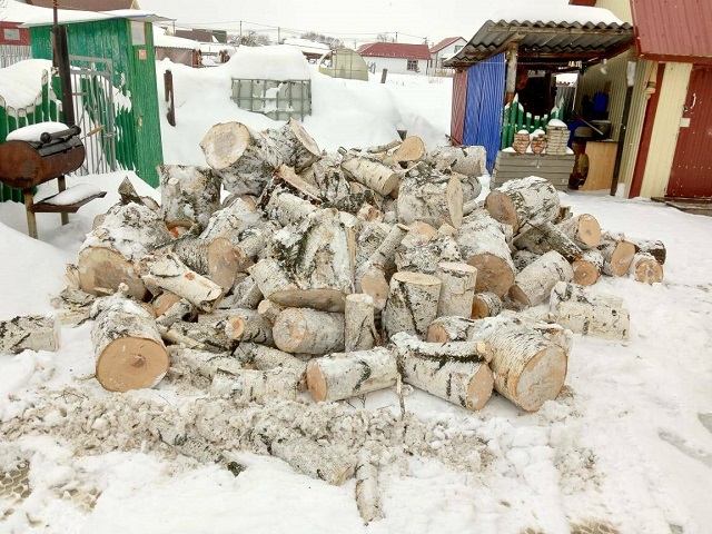 В Актанышском районе семьям бойцов СВО помогают с заготовкой дров