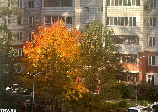 С тепла до +16 градусов начнется октябрь в Татарстане