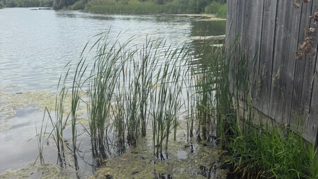 Экологи Татарстана выявили нарушения доступа к воде на Казанке