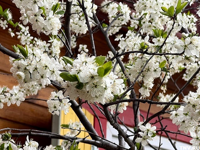 Отдыхать с 1 по 9 мая за счёт январских каникул предложили в ОП