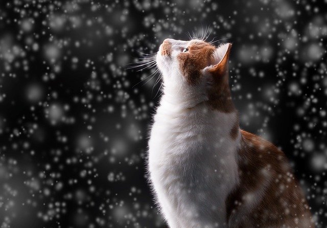 2 февраля на Татарстан обрушится очередная порция снегопадов