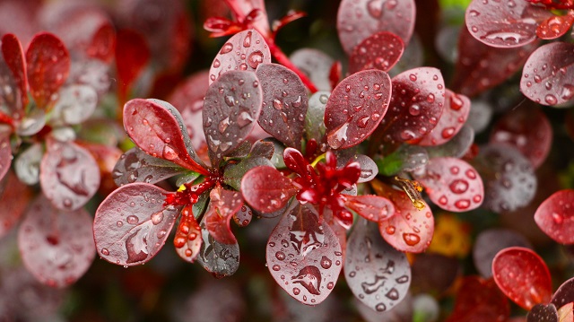 Сильный ветер, дожди и до +13 градусов ожидаются в Татарстане 17 октября