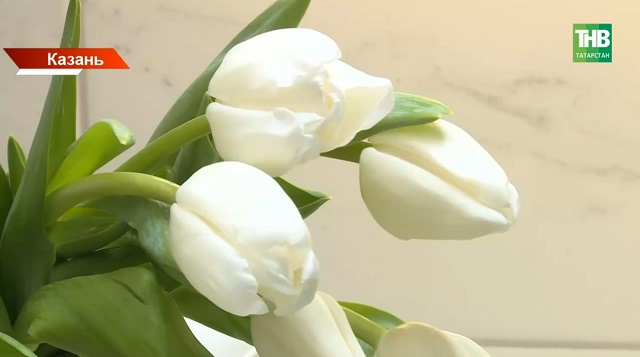 8 Марта без сюрпризов: как не купить зараженные цветы, рассказали татарстанцам