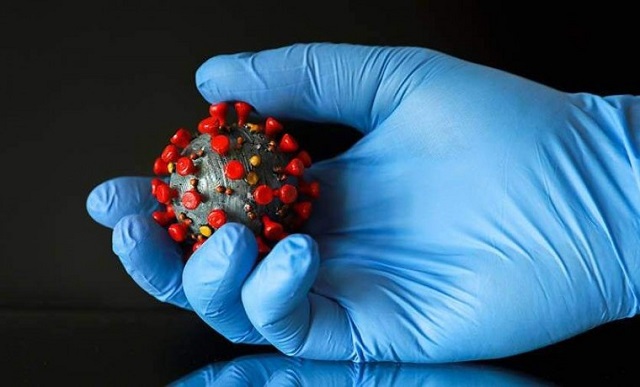 Первый случай заражения новым штаммом коронавируса «Кракен» зарегистрировали в России