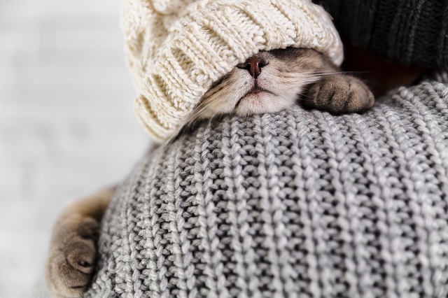 Заморозки до -2 градусов накроют Татарстан в завершение рабочей недели