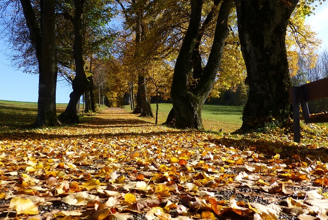 Нацпроект: в Казани благоустройство второй очереди парка у Ноксы готово на 93%