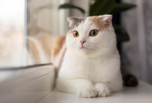 Самые низкие температуры с начала весны накроют Татарстан в середине недели