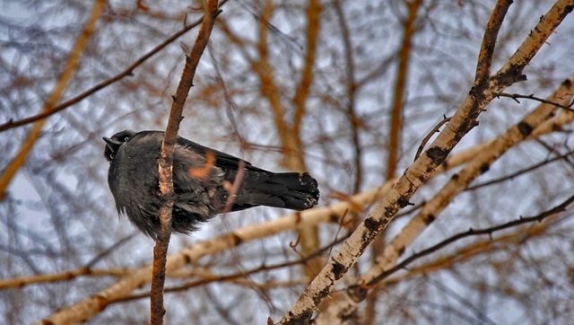 Заключительный день марта принесет в Татарстан дожди и 8-градусное тепло