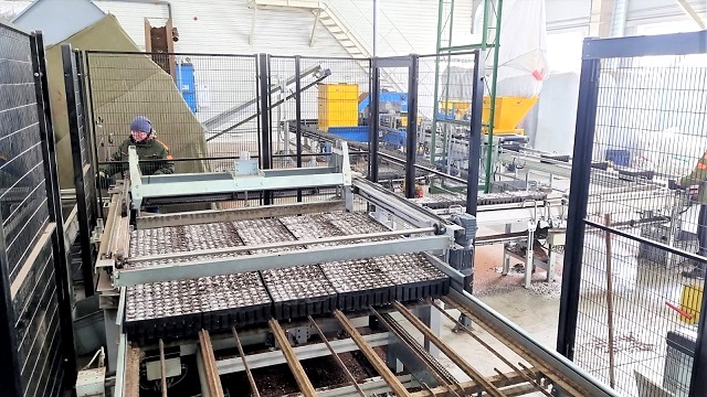 В Татарстане приступили к посеву семян хвойных и лиственных пород по нацпроекту