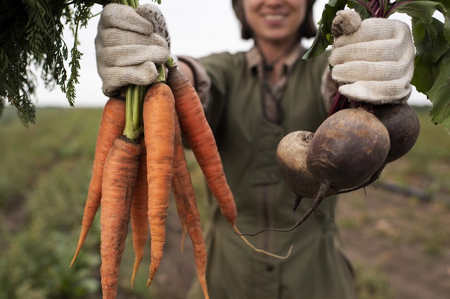 Садоводам Татарстана рассказали, когда лучше выкапывать морковь и свеклу