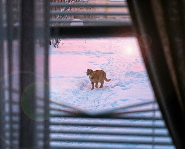 Погодный «слалом» в Москве закончится к 23 февраля - Шувалов