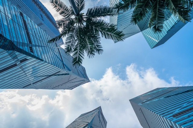 С 11 мая россияне смогут ездить в Саудовскую Аравию без визы — до 90 дней в году