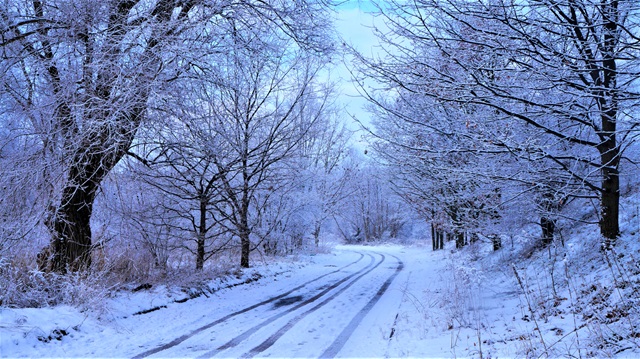 Зимняя погода накрыла 45% территории России